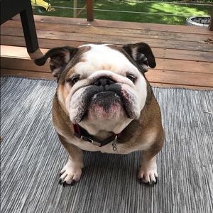 Meet your Posher, Mark